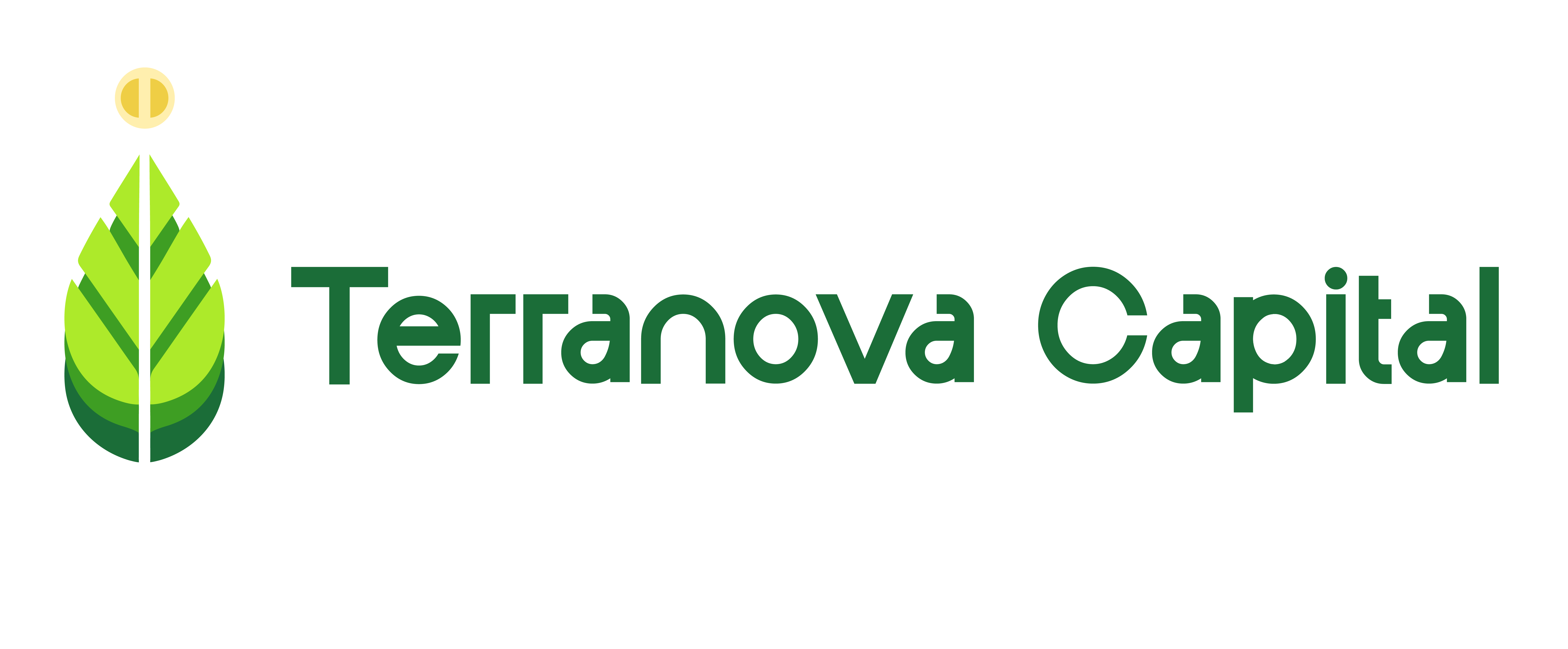 Terranova Capital Inversiones inmobiliarias que crecen contigo